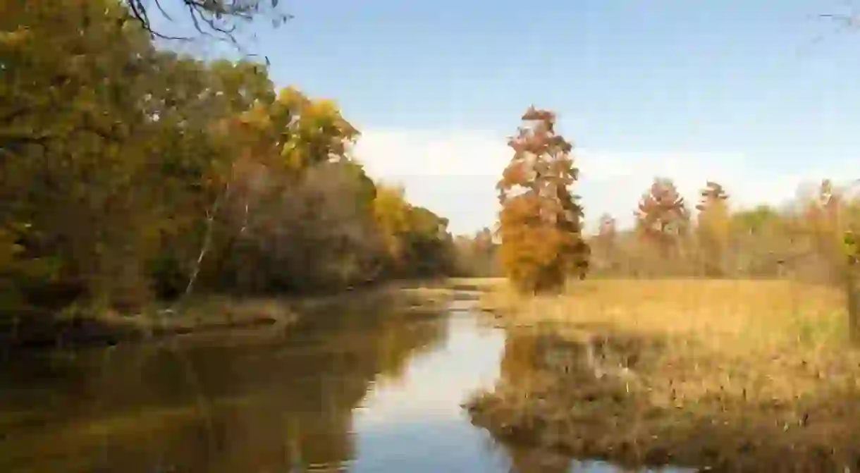 Theodore Roosevelt Island