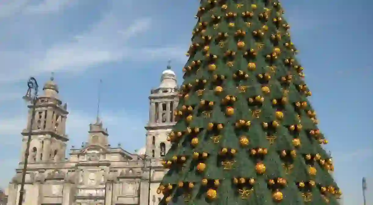 Christmas in the zocalo │