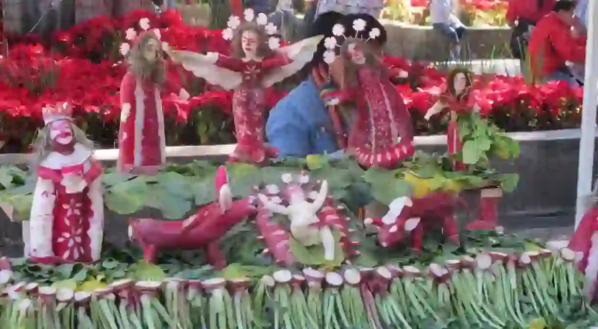 Radish nativity