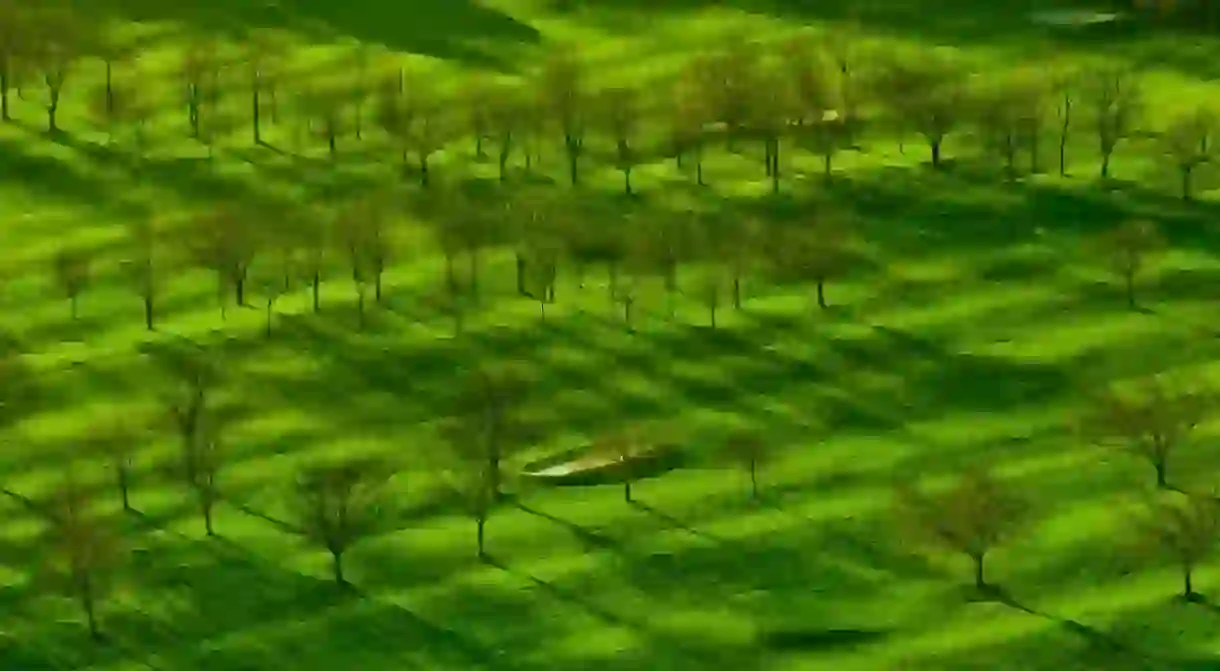 Edinburgh Golf Course From Arthurs Seat