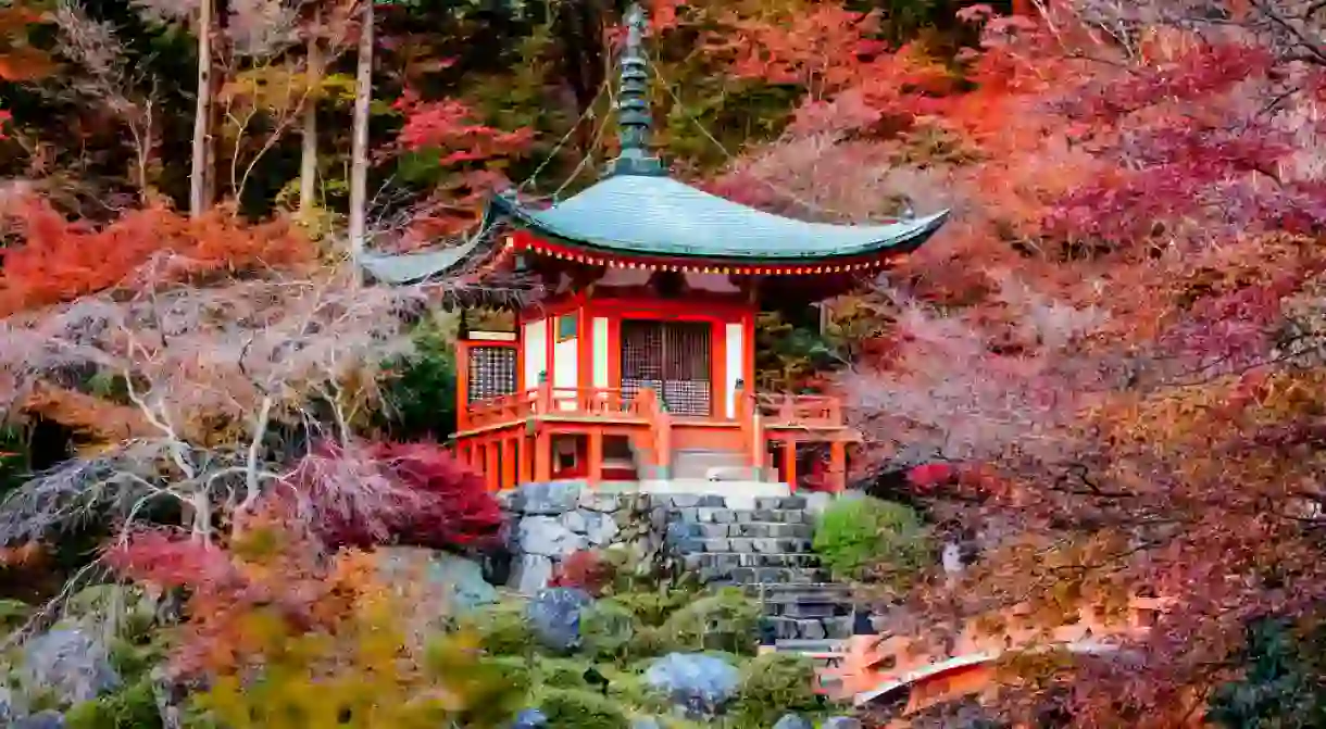 Autumn season,The leave change color of red in Tample japan