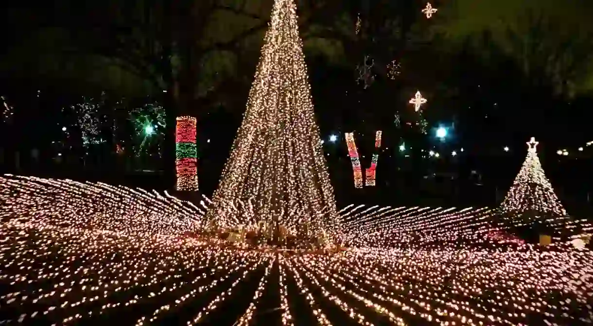 Christmas ZooLights at Lincoln Park Zoo