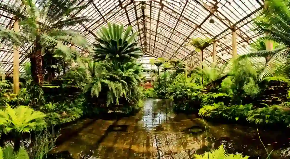 Garfield Park Conservatory