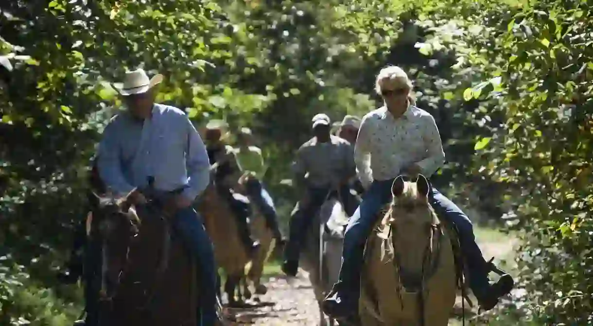 Horseback trail riding