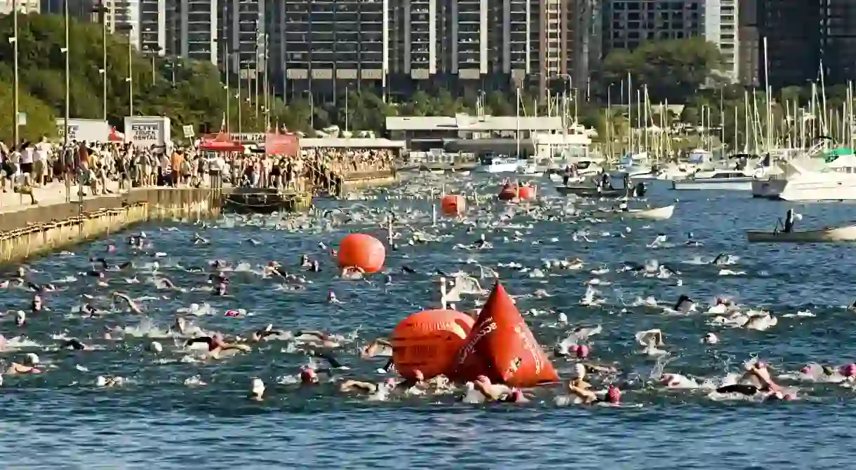 2007 Chicago Triathlon Swimmers