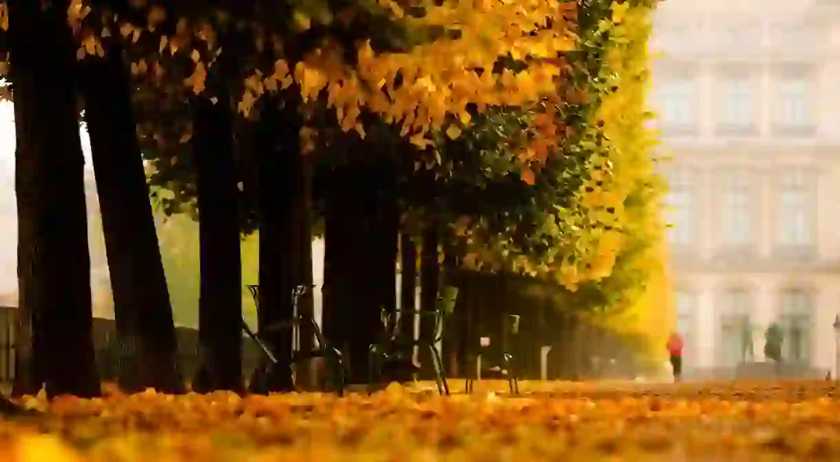 The Jardin des Tuileries in November │