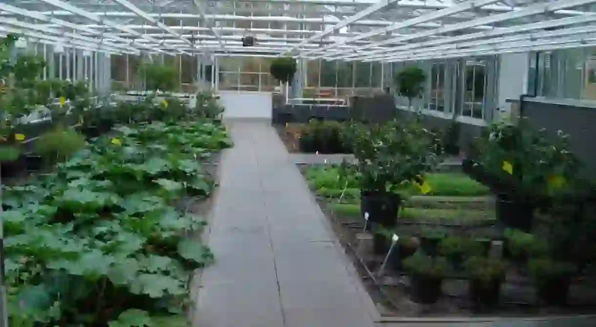 De Kas greenhouses