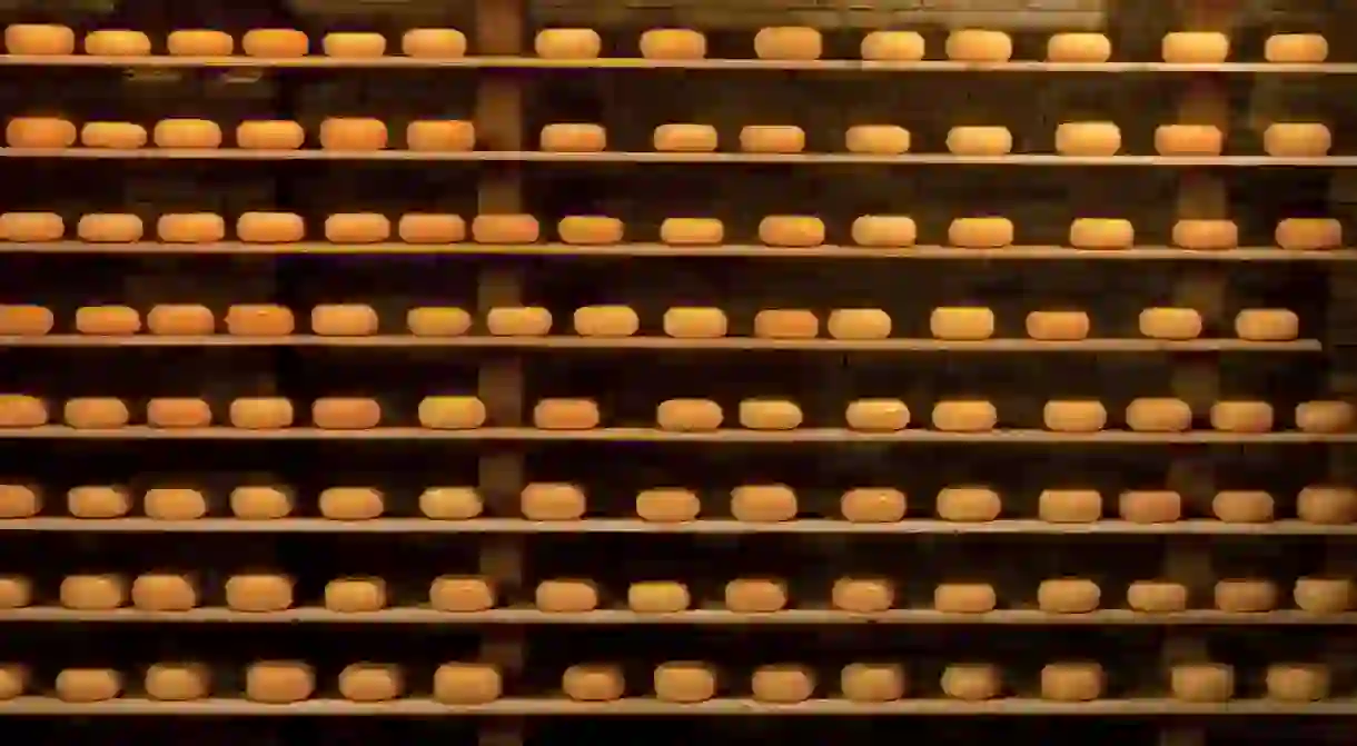 Lines of Gouda