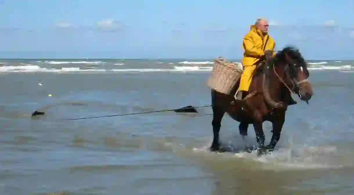 Shrimp fisherman on horseback