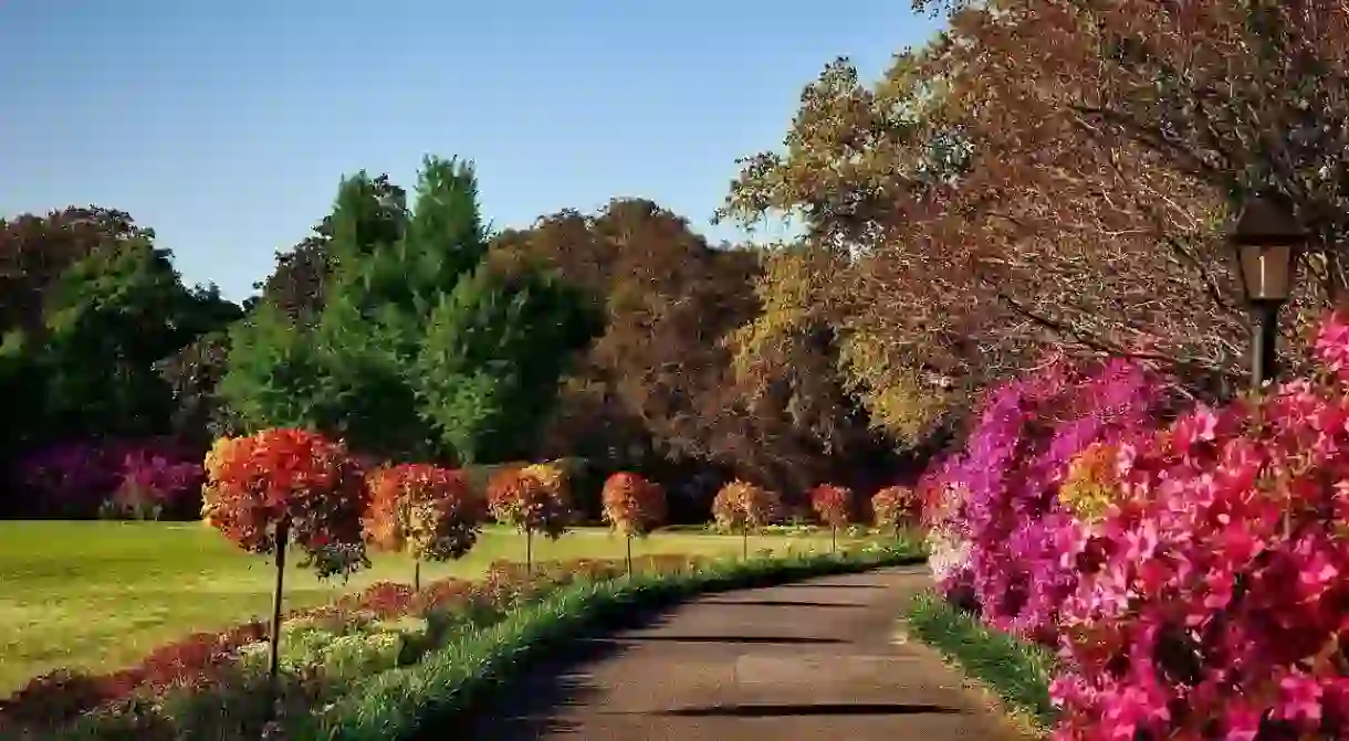 Bellingrath Gardens