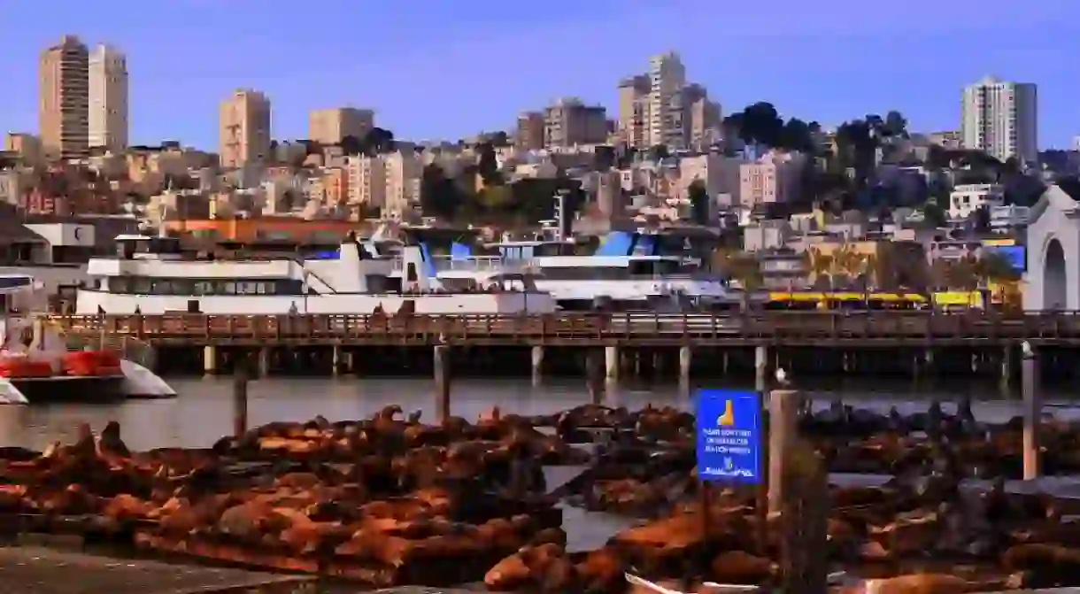 Pier 39