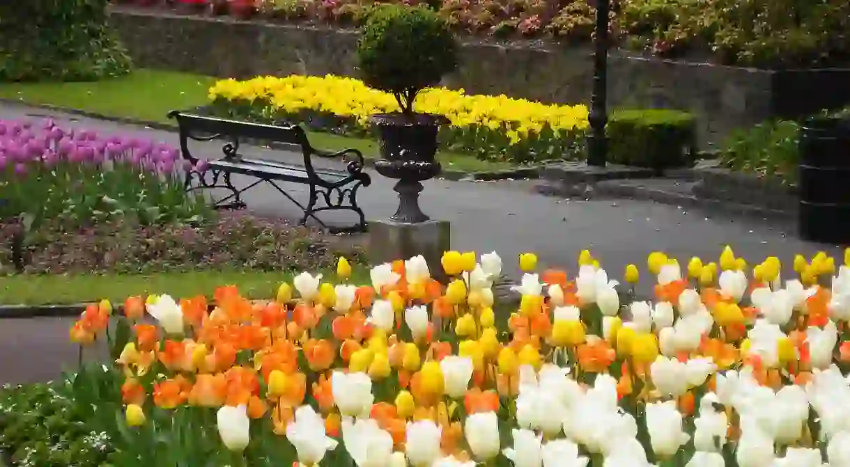 Wellington Botanic Gardens