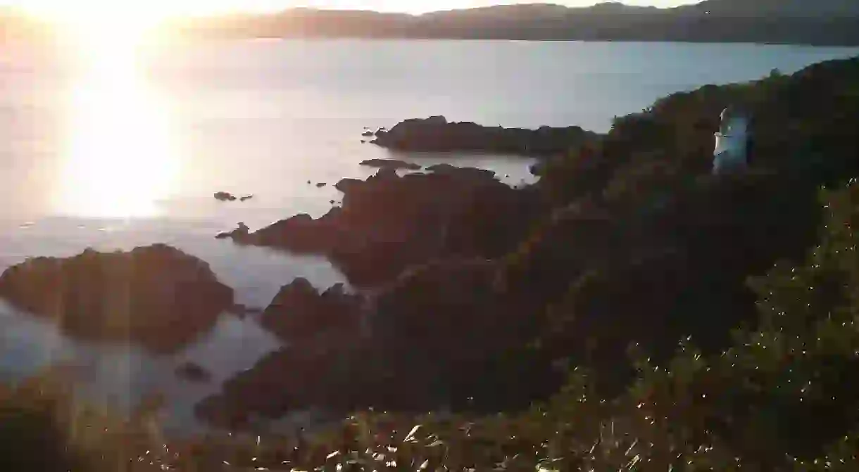 Matiu/Somes Island