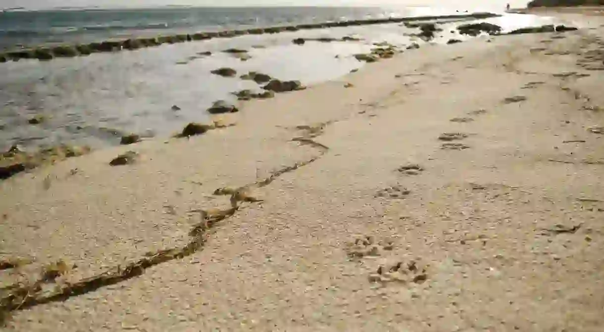 Beach off Rum Point