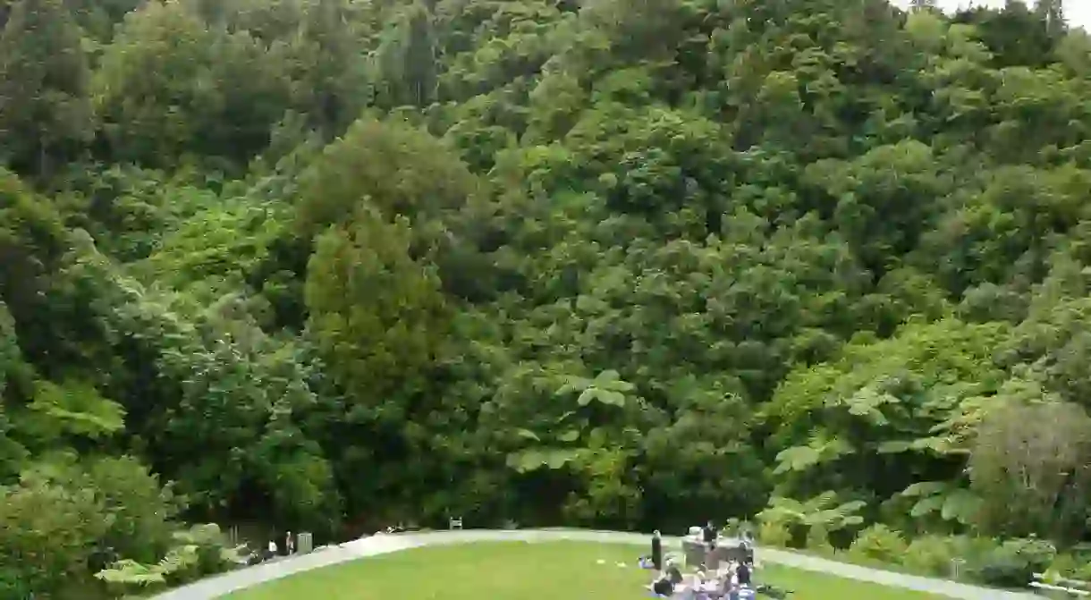 Picnic area, Otari-Wiltons Bush