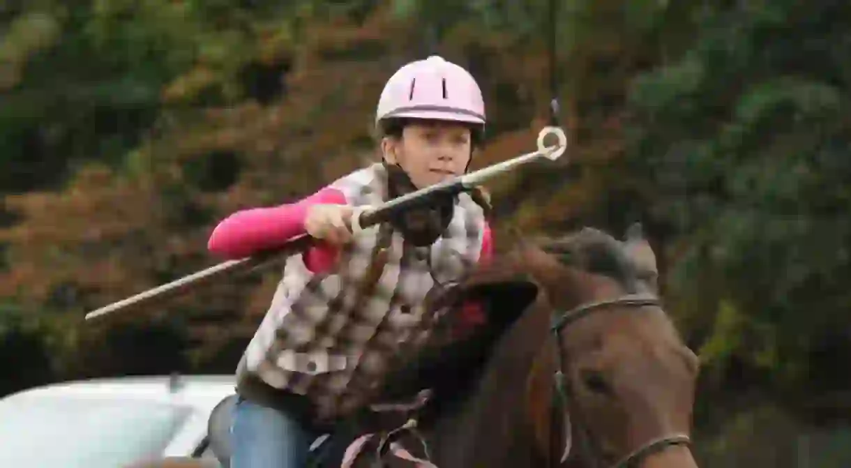 Maryland adopted jousting as its official state sport in 1962