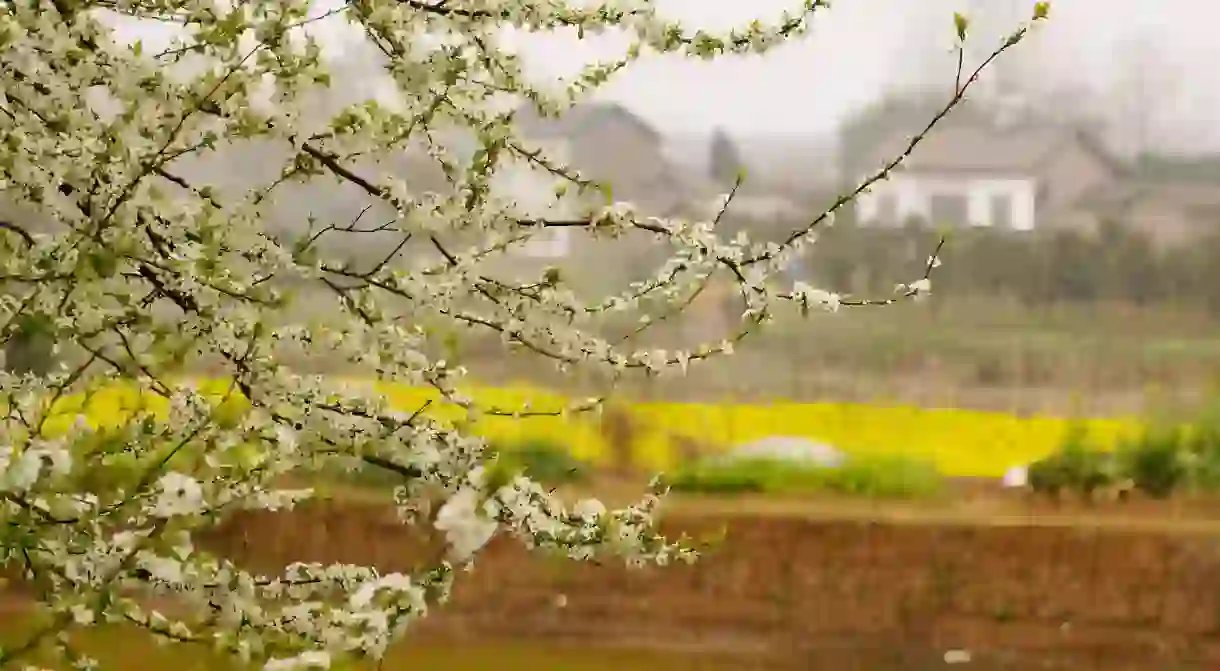 Spring in China Village