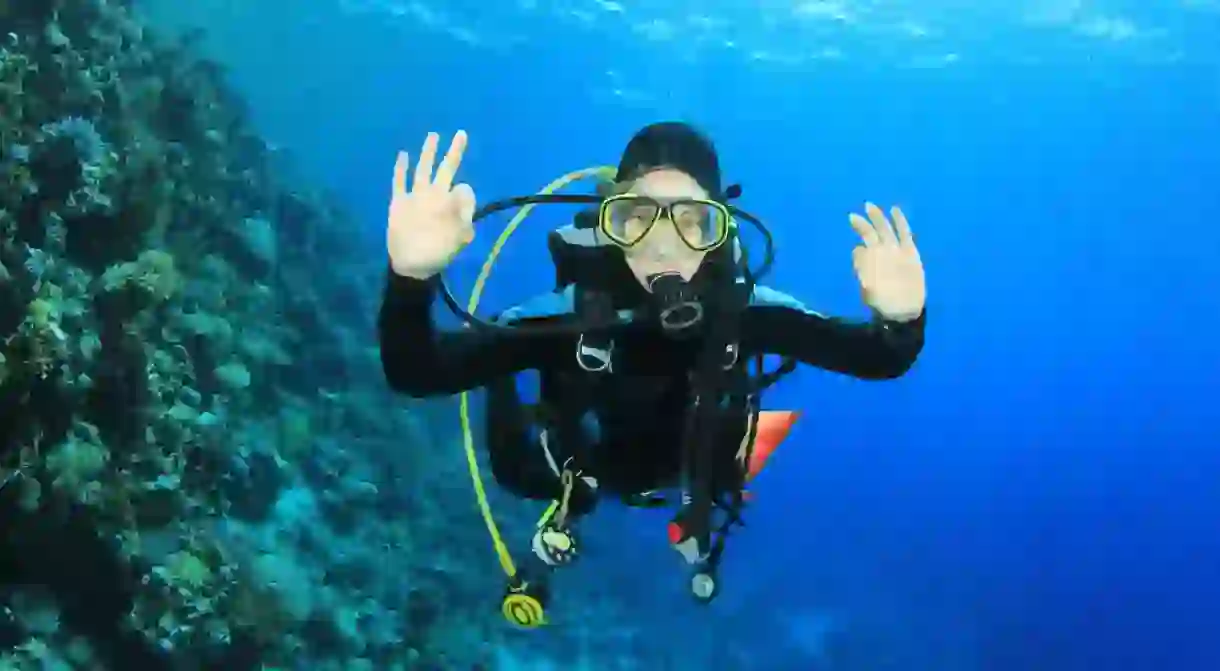 Diving in the Caribbean Sea Rich