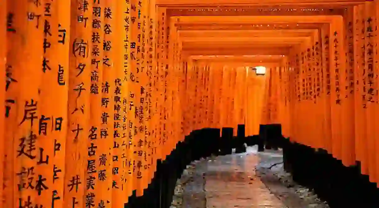 Walking Through a Tunnel of Torii Gates