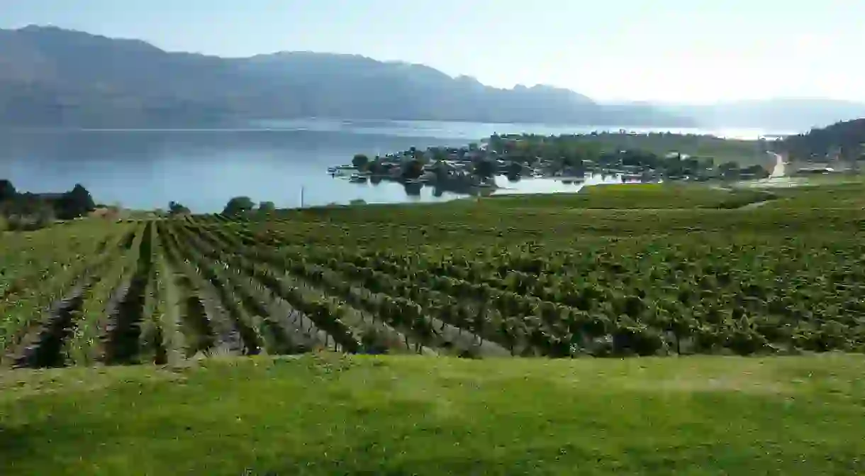 Okanagan Valley Winery