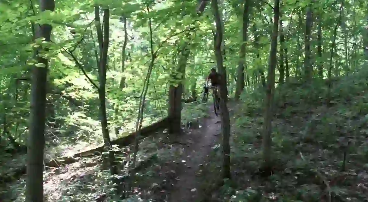 Mountainbike trail in the Belgian Ardennes