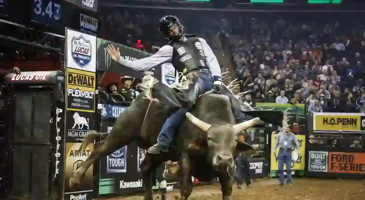 Professional bull riding at Madison Square Garden in New York City