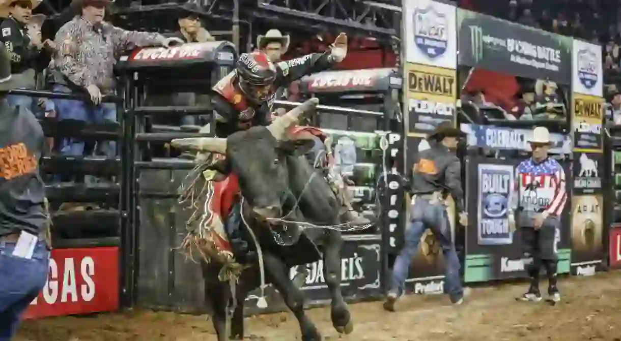 Alex Cardozo is one of the many Brazilian riders finding success in PBR