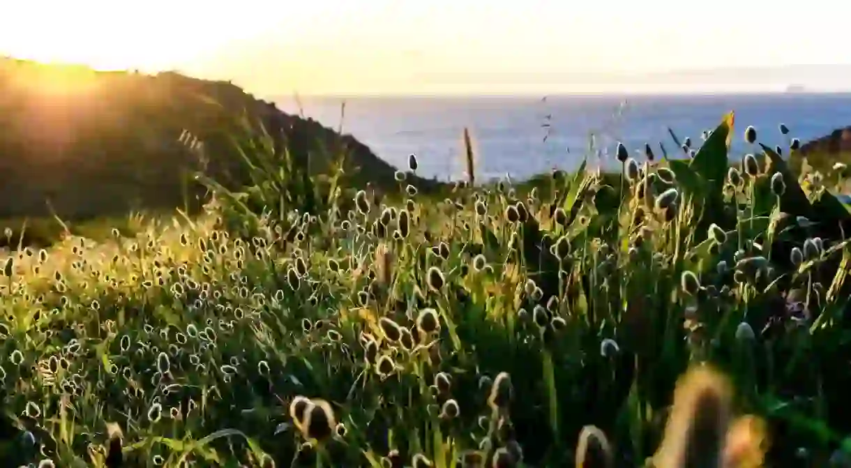 Spring in Patmos