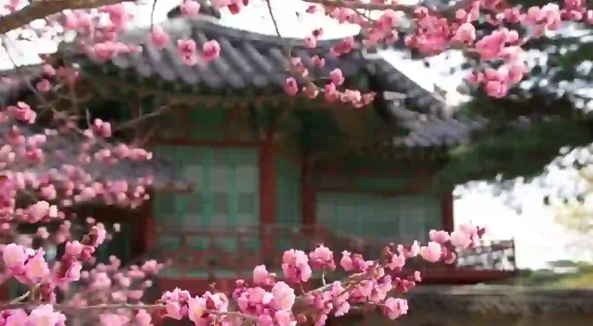 Changdeokgung Secret Garden