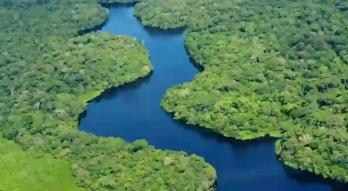 Amazon rainforest