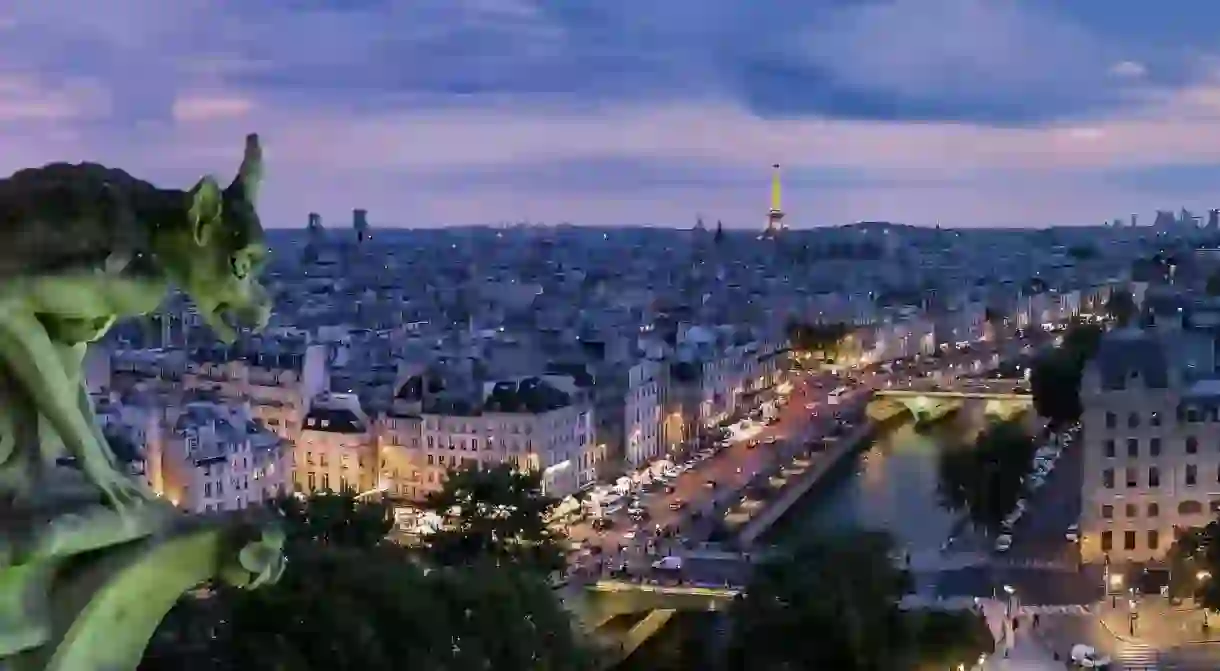 Gargoyle above Paris │