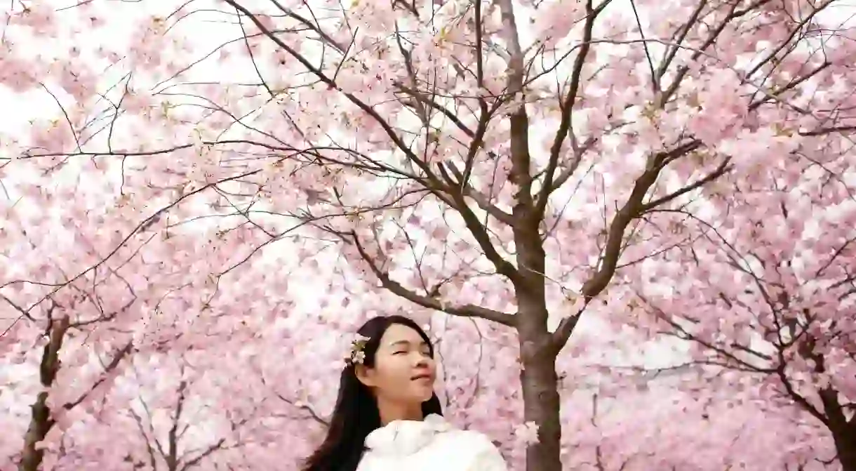 Taking in the beauty of Korean spring