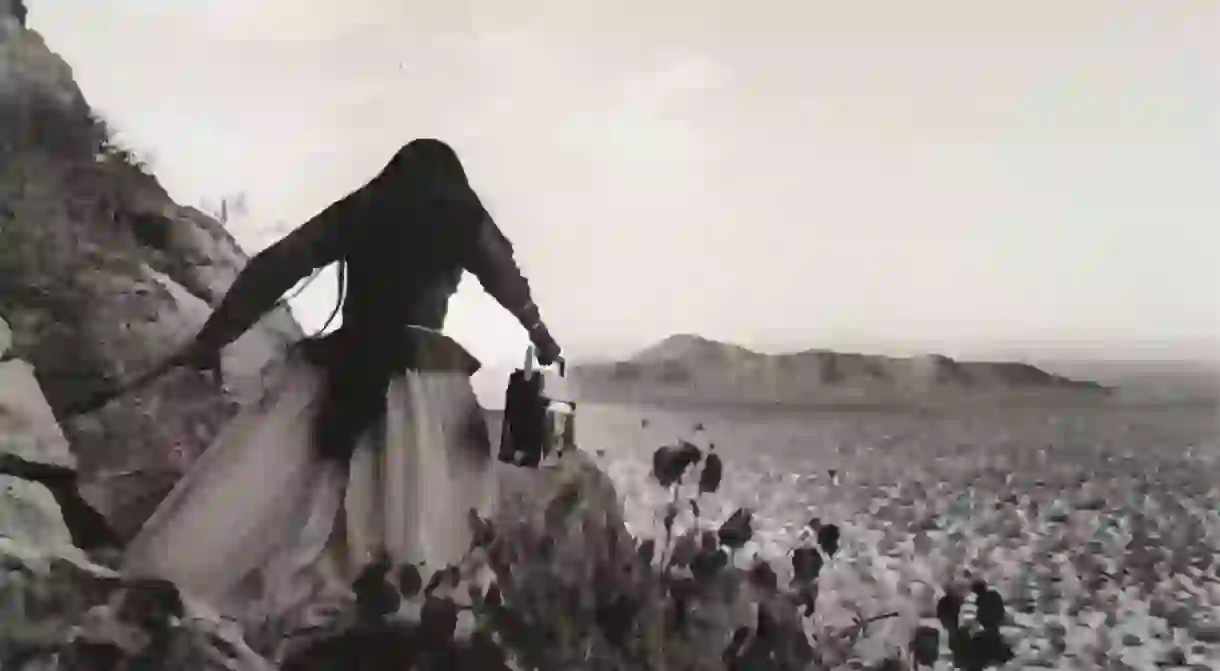 Graciela Iturbide Mujer Angel, from the cover of The One Inside, courtesy of Penguin Random House