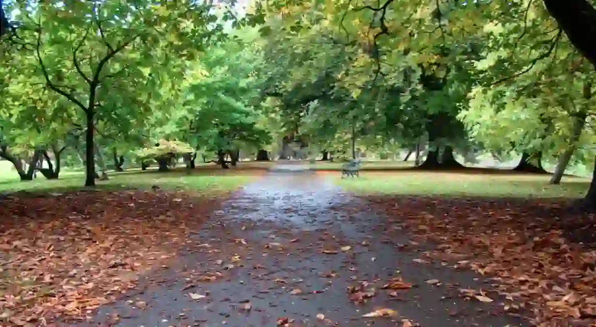 Bute Park