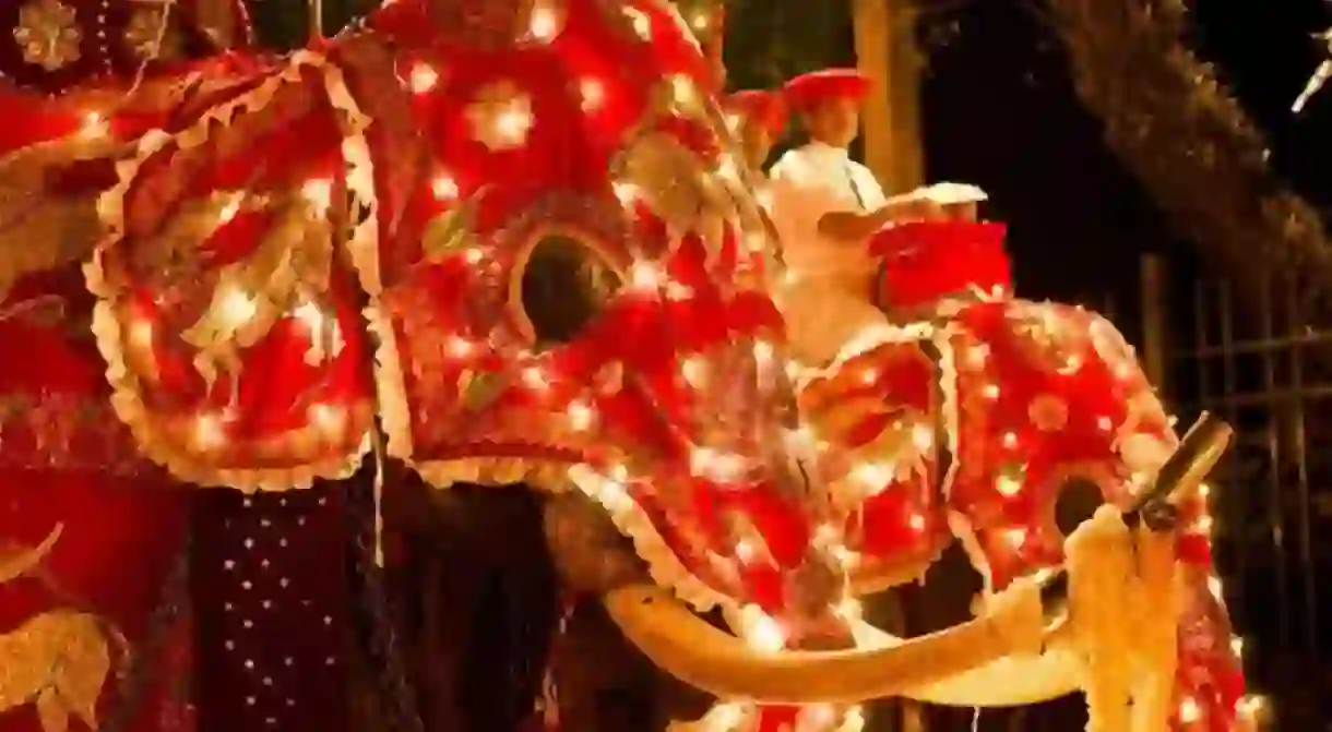 Elephants elegantly garbed for the procession at the Kandy Esala Perahera.