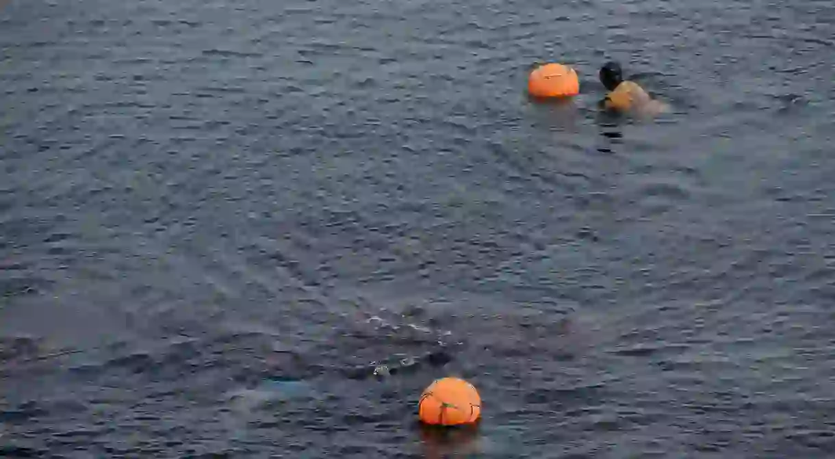 Haenyeo, the female divers of Jeju Island, in action