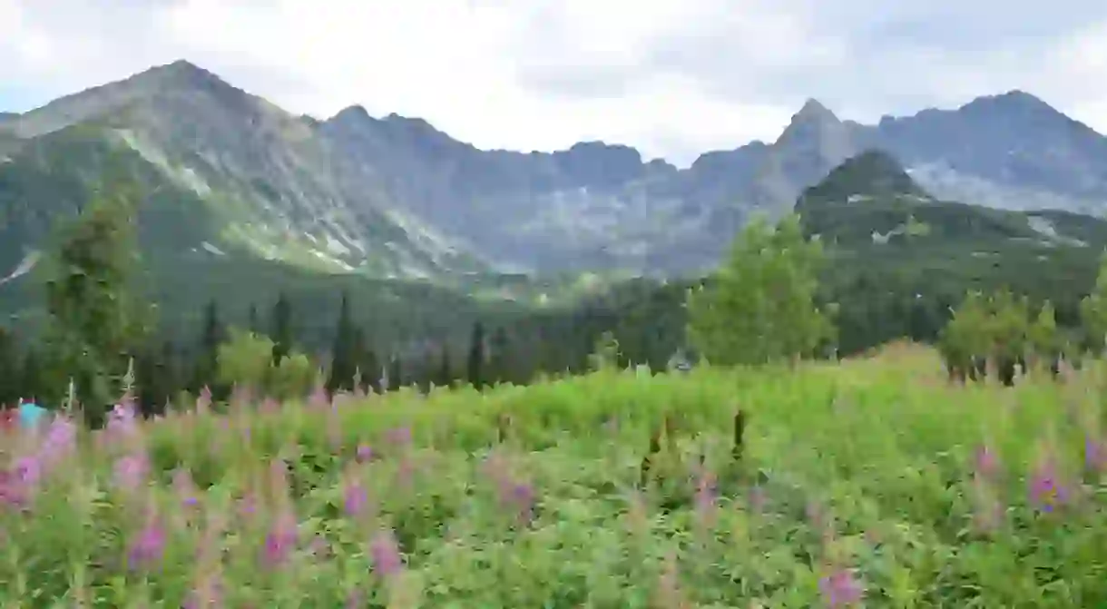 Peaks above the Valley of Five Lakes