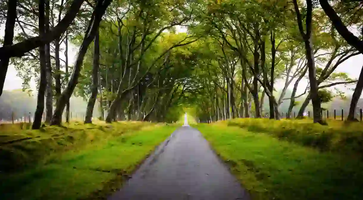 Running Path Along The Pentland Hills