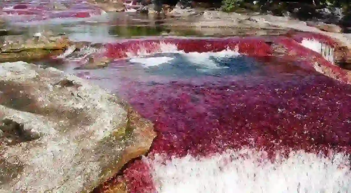 Caño Cristales, Colombia