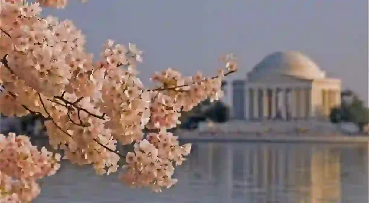 Explore the Jefferson Memorial and the National Mall, theres an app for that