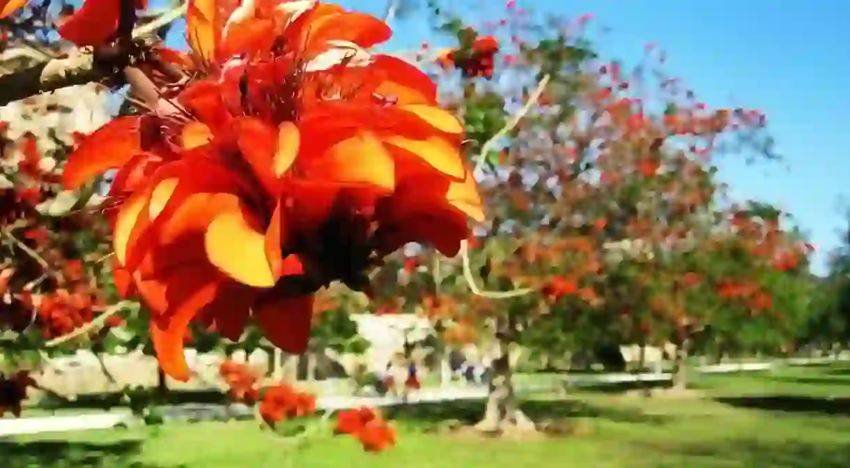 Turia Gardens, Valencia. Photo