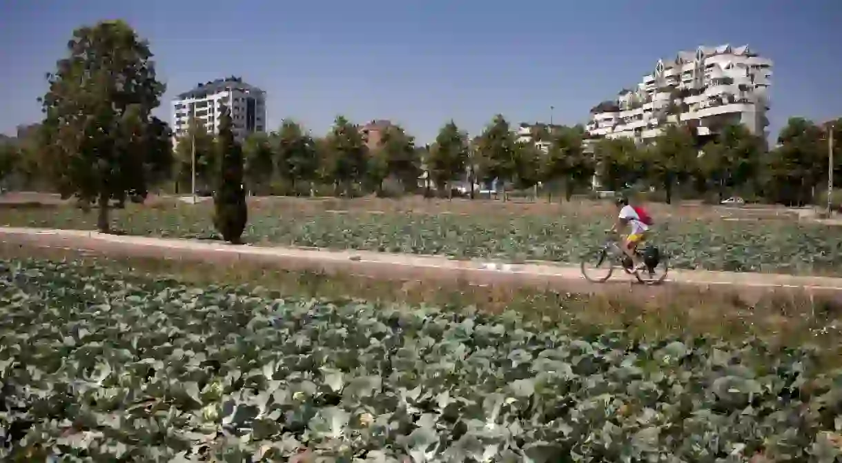 Cycling through the agricultural gardens around Valencia