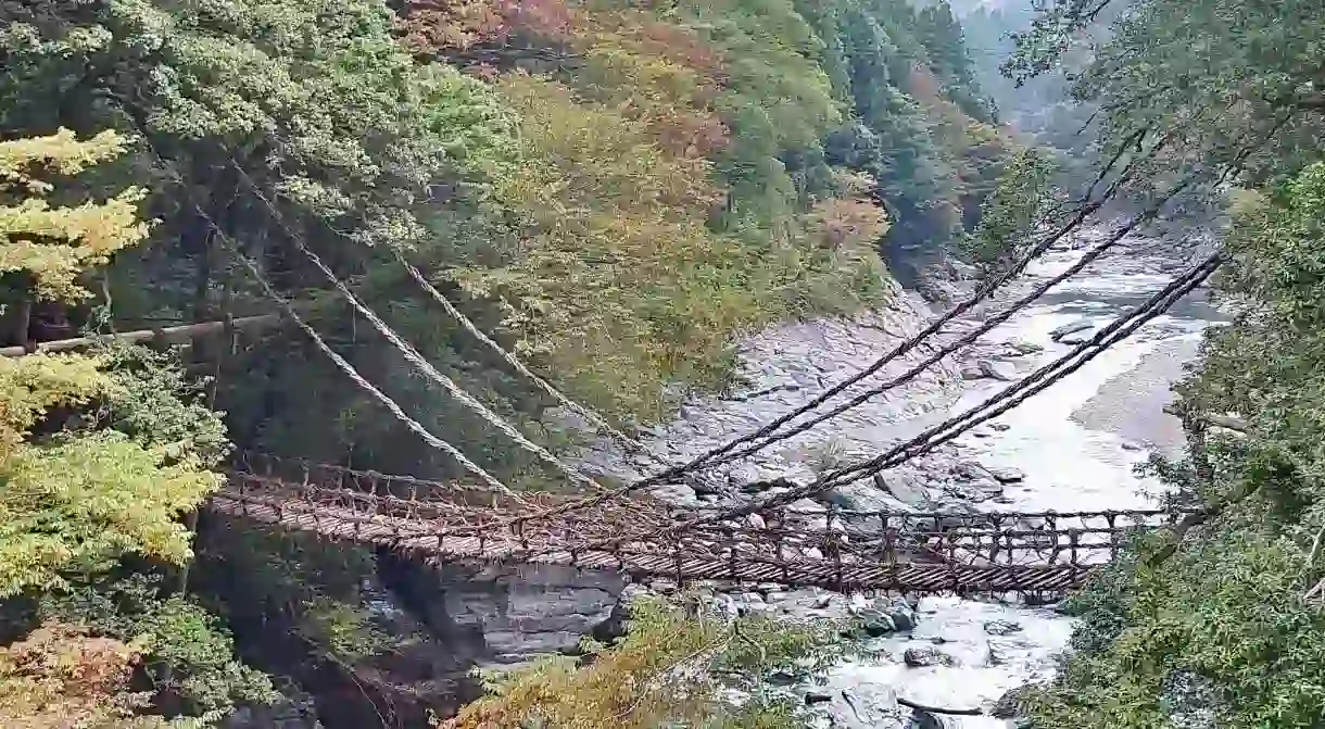 Iya Valley Living Bridges