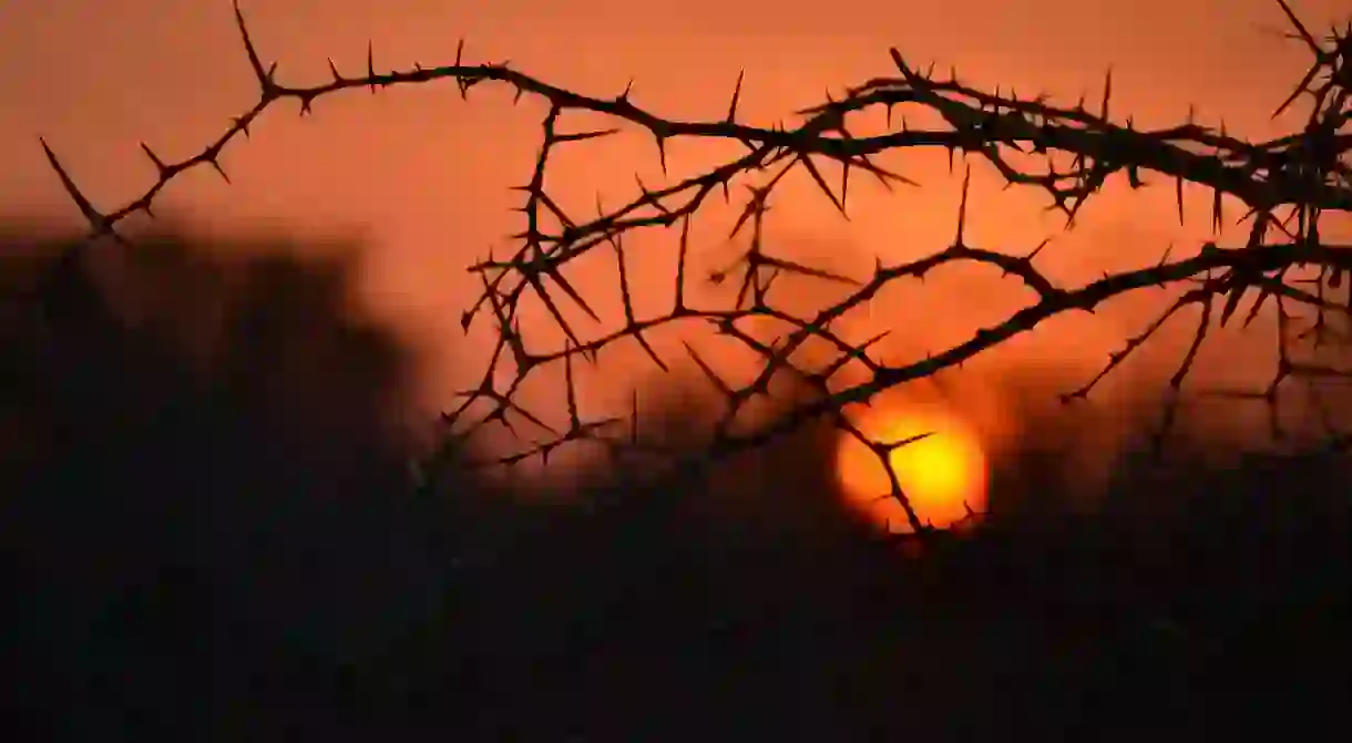 A typical African sunset