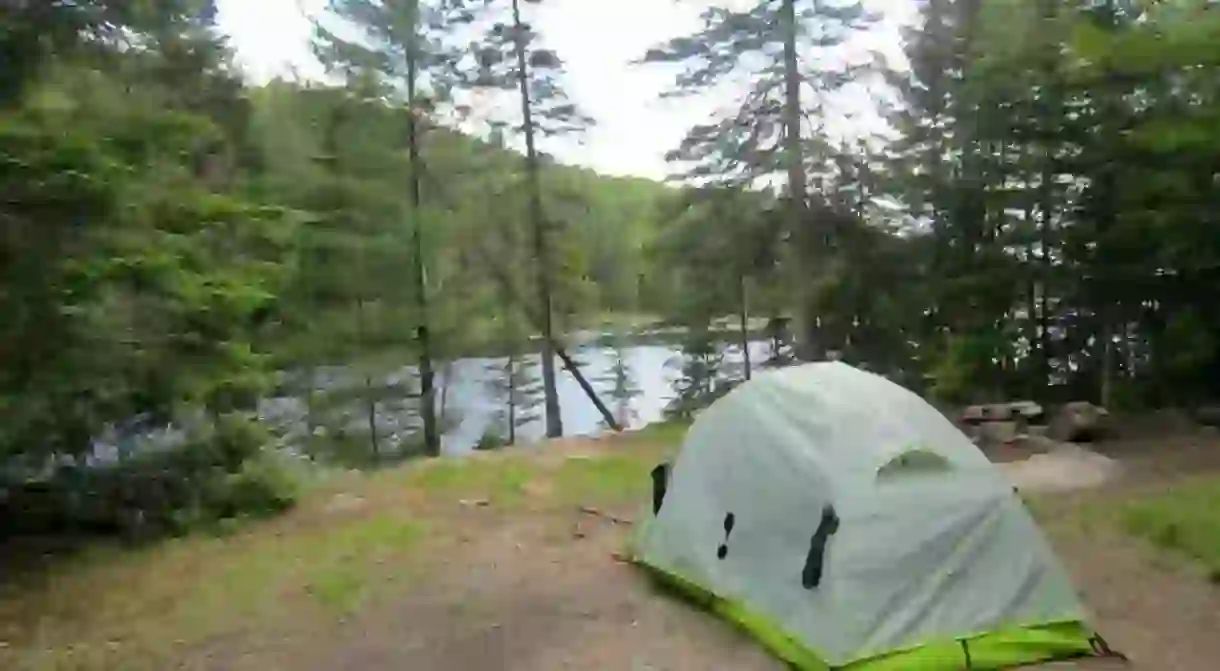 Camping in Algonquin