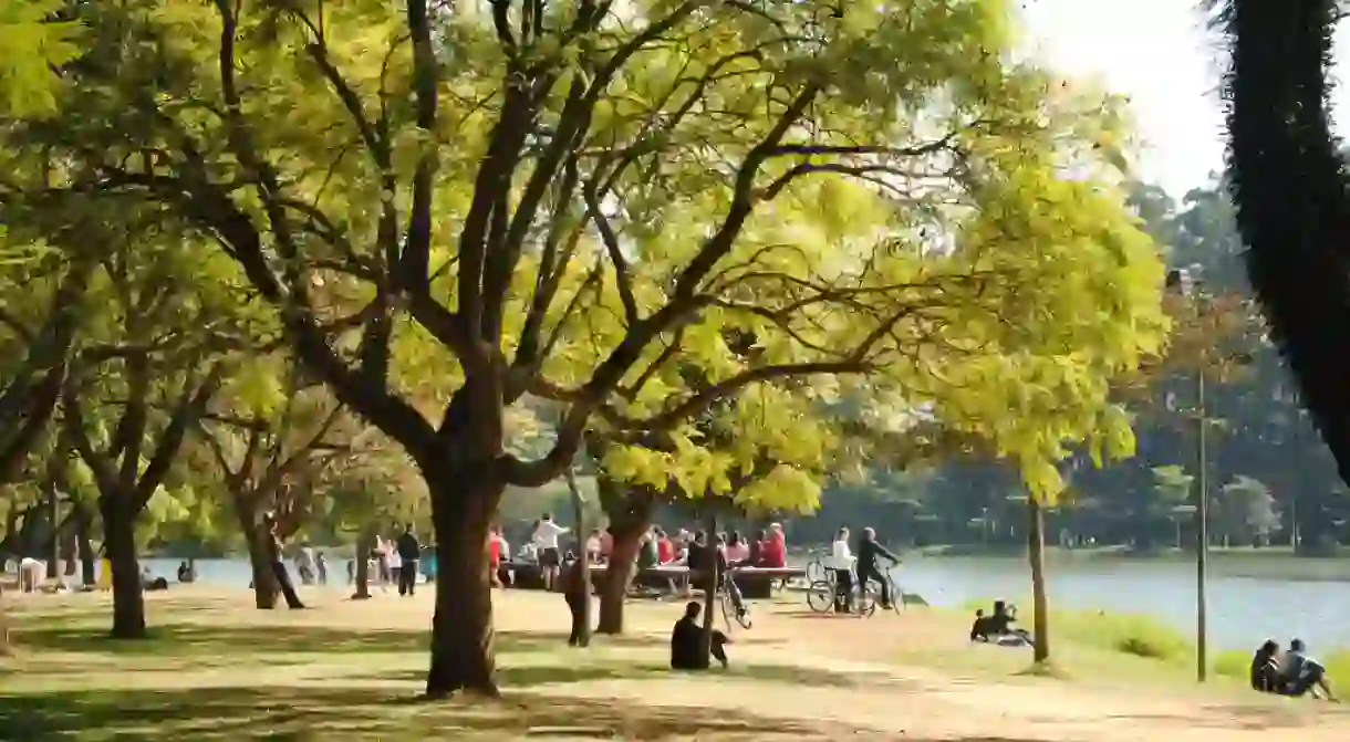 Parque do Ibirapuera SP