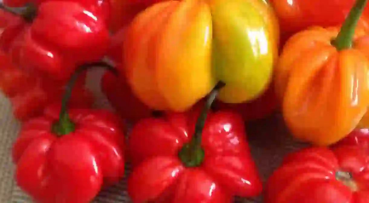 Scotch Bonnet Peppers