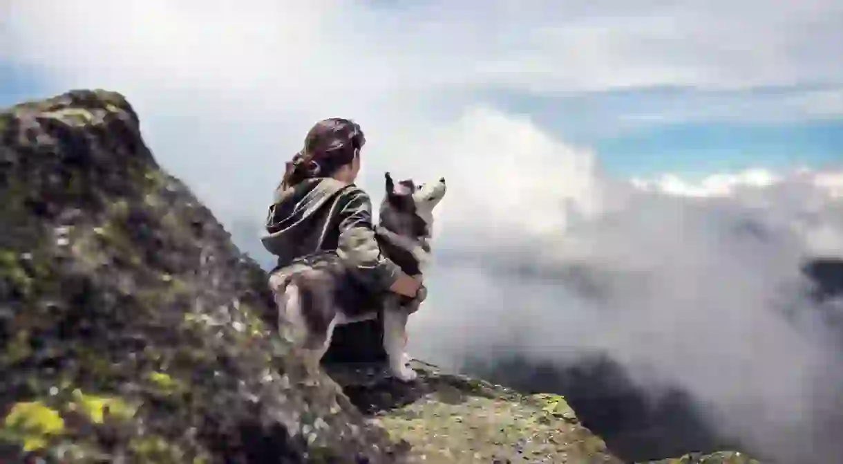 Hiking with a husky