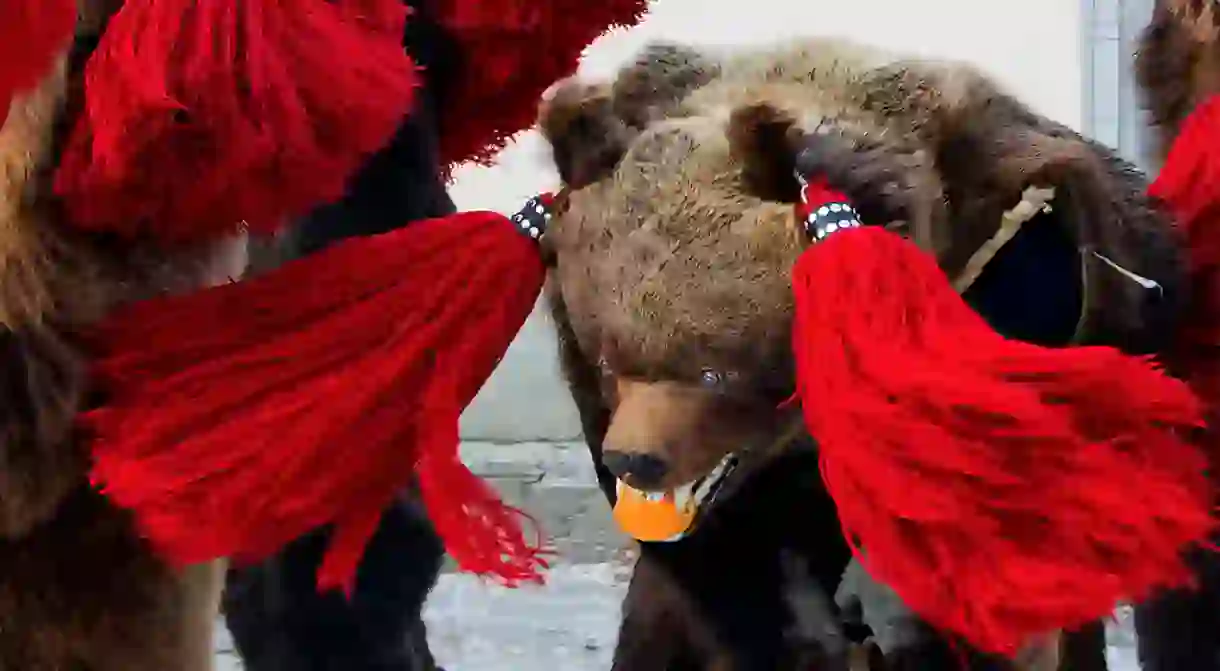 Romanias Dancing Bears