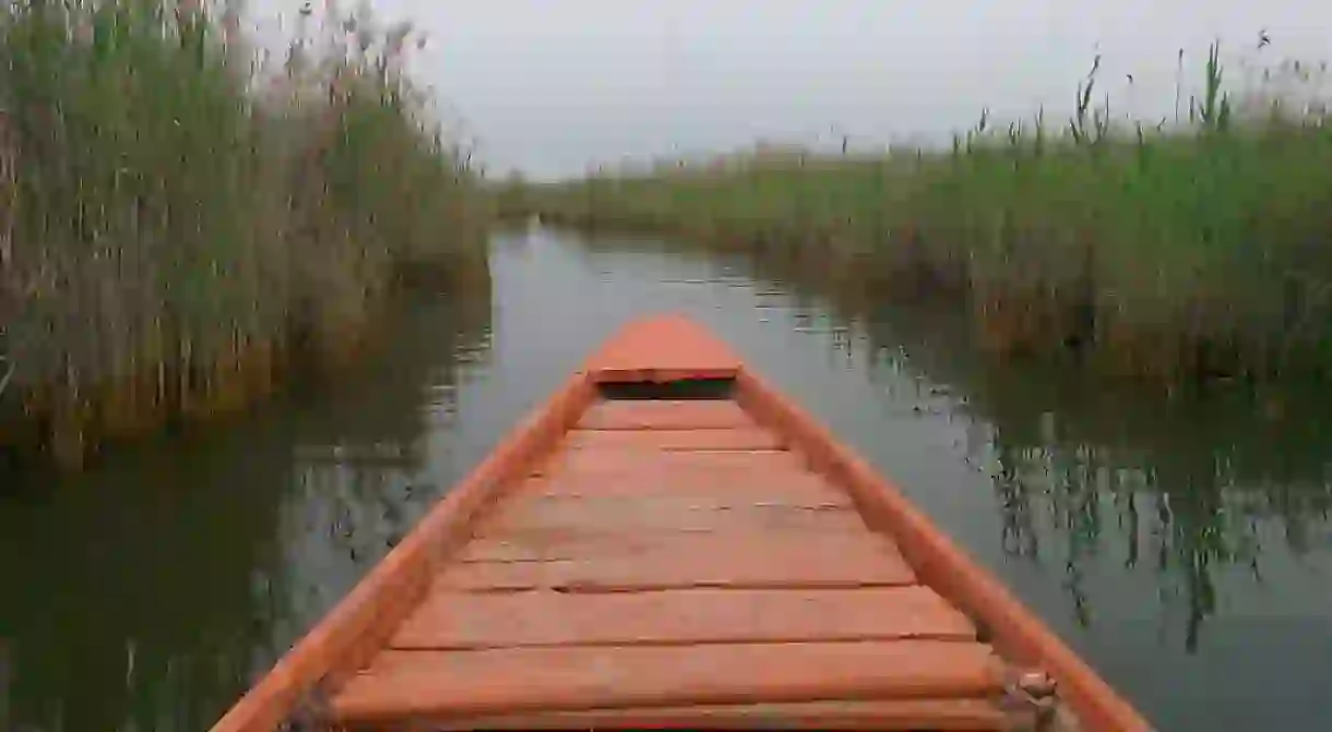 Shadegan Lagoon